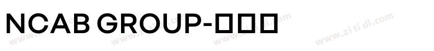 NCAB GROUP字体转换
